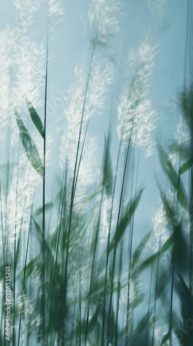 Abstract image of tall grass in nature against sky