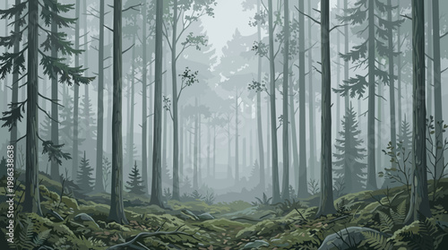 Tall trees stand in a foggy forest with dense greenery and rocks, creating a mysterious atmosphere early in the morning