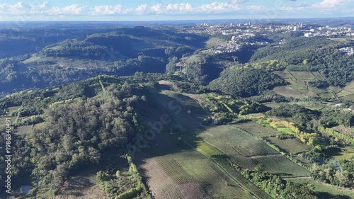 Drone mostra vinícola no Vale dos Vinhedos com cultivo de uvas em linhas organizadas destacando produção agrícola e turismo no sul do Brasil