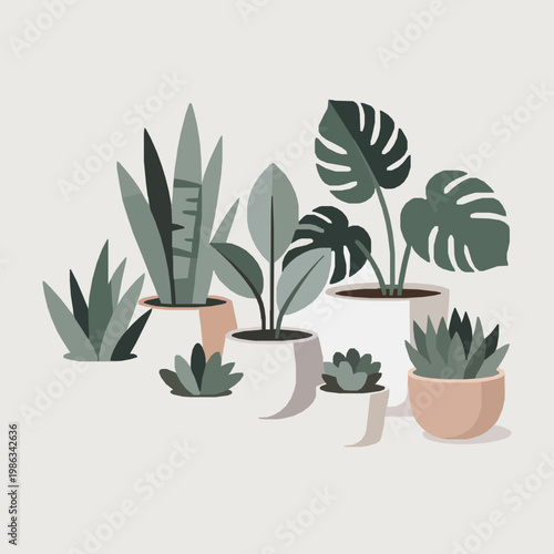 Minimalist collection of potted indoor plants in white and beige