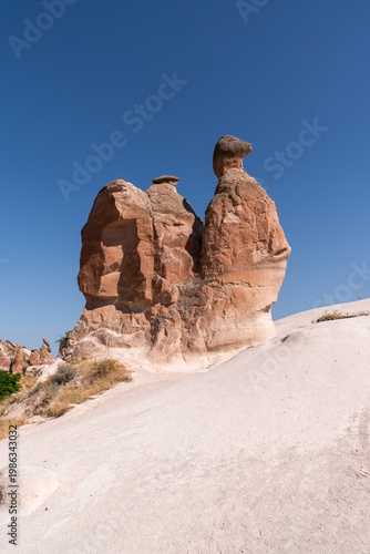 vertical photography of camel-shaped fairy chimneys in the Devrent Valley in Cappadicia, Türkiye on an August day.