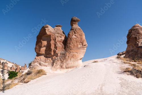 Camel-shaped fairy chimneys in the Devrent Valley in Cappadicia, Türkiye on an August day.