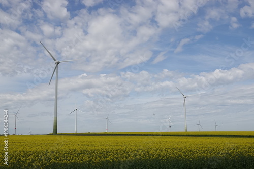 Yellow Flower Field with Wind Turbines under Blue Sky – Clean Energy