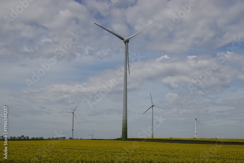Yellow Flower Field with Wind Turbines under Blue Sky – Clean Energy