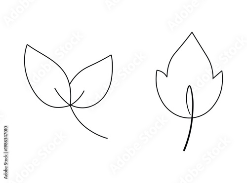 Two delicate leaf outlines drawn with single continuous line art