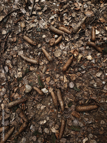 Close-up of pine cones nestled among dark brown grass blades, creating a natural, textured backdrop