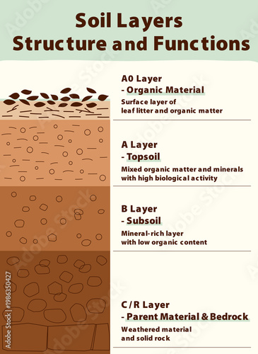 Editable Soil Layer Structure Diagram_Editable Text,Infographic｜土壌層構造図_テキスト編集可能・インフォグラフィック