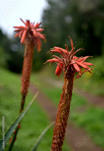 Aktuelle Situation des Klimawandels in Europa