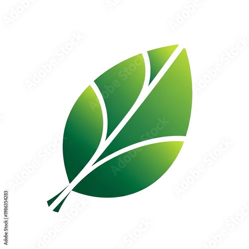 Simple green leaf with white vein lines representing nature purity and sustainability.
