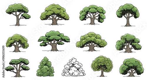 Set of various green trees and a bush illustration, hand drawn style
