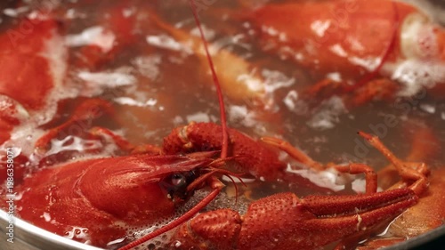 Boiled European crayfish Astacus astacus river seafood freshwater cooked crustacean, noble crayfish, or broad-fingered crayfish, traditional food source.
