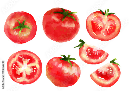 Plakat トマトのイラスト 手描き 水彩風