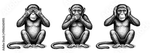 Three wise monkey chimpanzee see hear speak no evil vintage engraving