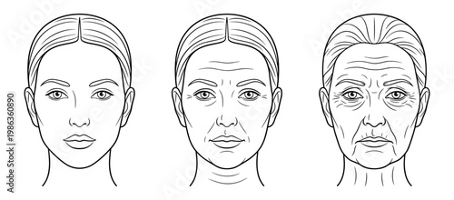 Woman face aging process young to old line art