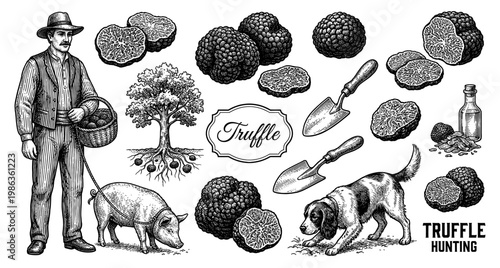 Truffle hunting set hunter pig dog tree and mushroom engraving
