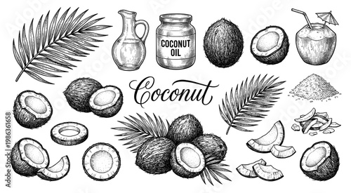 Coconut set oil jar milk drink leaf meat and nut engraving