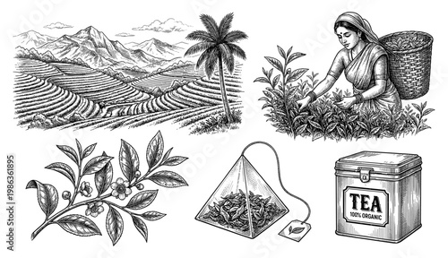 Tea set plantation worker leaf bag and metal tin engraving