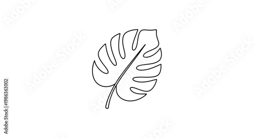 Simple Outline Drawing of Monstera Deliciosa Leaf on White Background