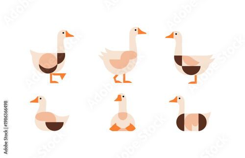 Set of minimalist geese in flat geometric style on white background