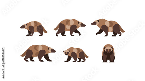Flat style wolverine set in various poses on white background