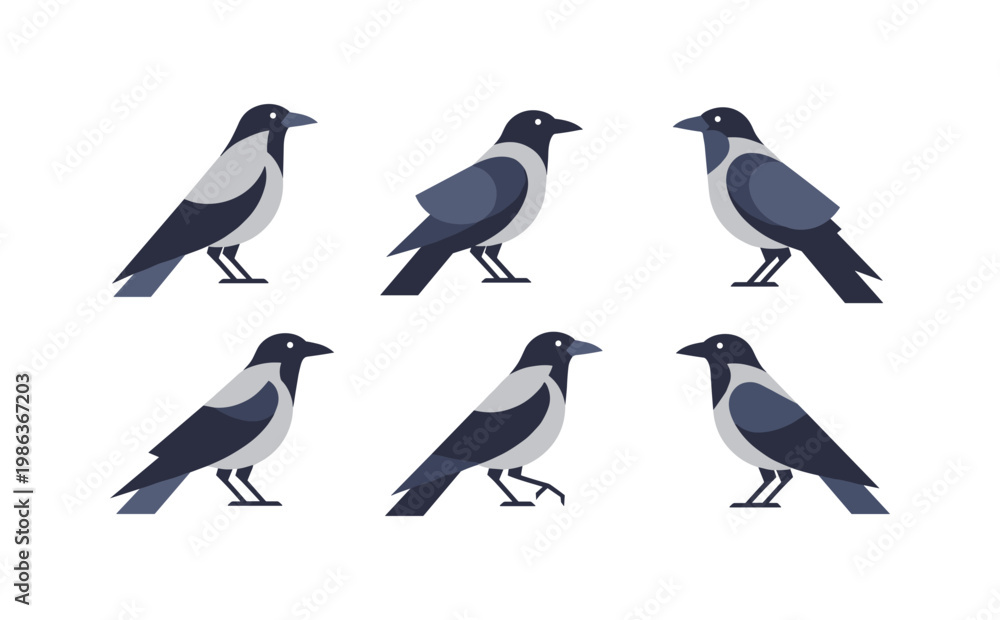 Fototapeta premium Flat design set of crow silhouettes in various poses on white background