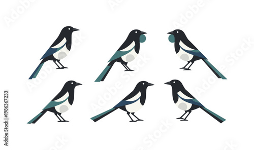 Stylized magpie collection featuring multiple poses on a white background