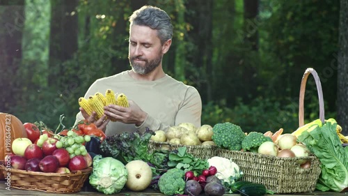 Mature man harvesting fresh vegetables in a rural plantation. Farmer with nutritious produce on organic farm. Gardener inspecting healthy plants and fruits outdoors. Worker picking fresh vegetables.