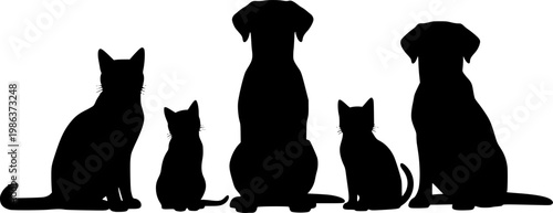 Silhouette of a diverse group of cats and dogs sitting together