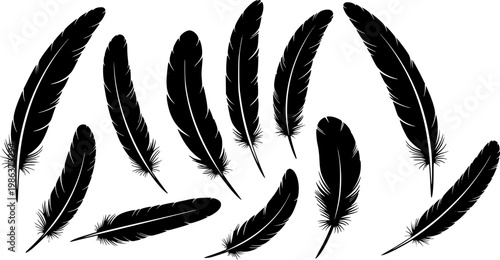 soft bird plumage set. Big set of bird feathers design. fluffy swan. Pen icons design. set of bird feathers design