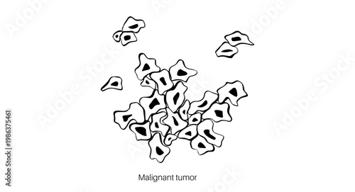 Cells structure sketch