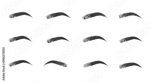 Collection of various eyebrow shapes and styles.