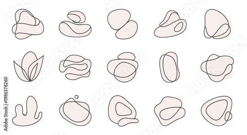 A collection of various nut illustrations.