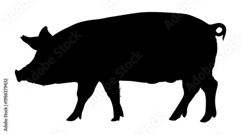 Generic black pig silhouette, farm animal isolated on white, domestic hog outline, agricultural livestock graphic element.