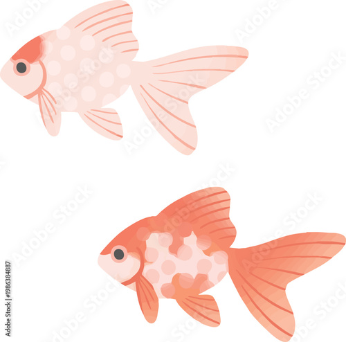 Ryukin Goldfish Side View Vector Illustration Transparent Background | 琉金 金魚 横向き 和風 観賞魚 ベクター素材