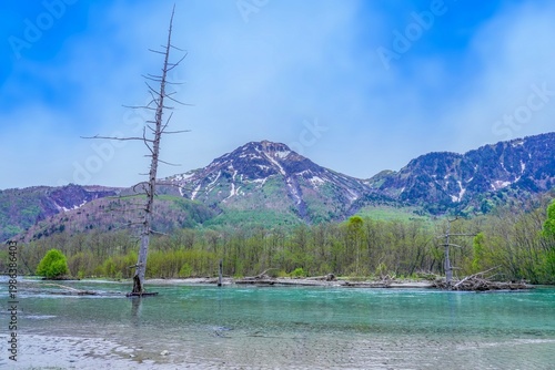 青空バックに見る新緑に包まれた焼岳と梓川の情景