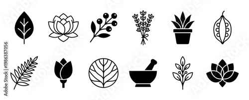 Twelve distinct black and white botanical and herbal icons are neatly arranged, showcasing various plants, flowers, berries, and a mortar and pestle in a clean, minimalist graphic style