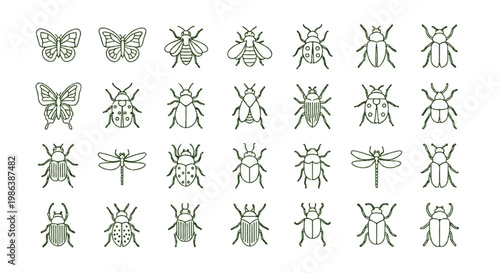 Collection of insect icons representing different species in vector format