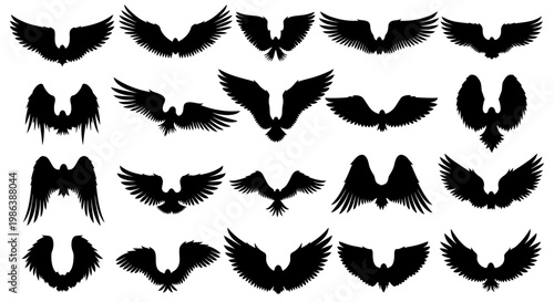 Set of Eagle Wings Silhouettes in Various Flying Poses