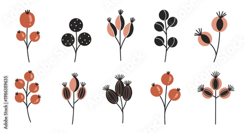 Stylized autumn berries and rosehips hand drawn floral design elements on white background