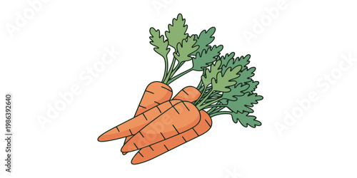 Fresh orange carrots with green tops.