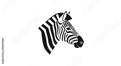 Black and White Zebra Head Portrait.