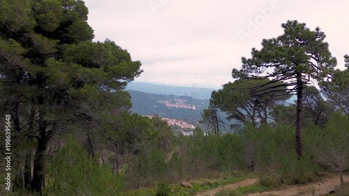 Drone View of Ligurian Inland Forest and Villages, Italy