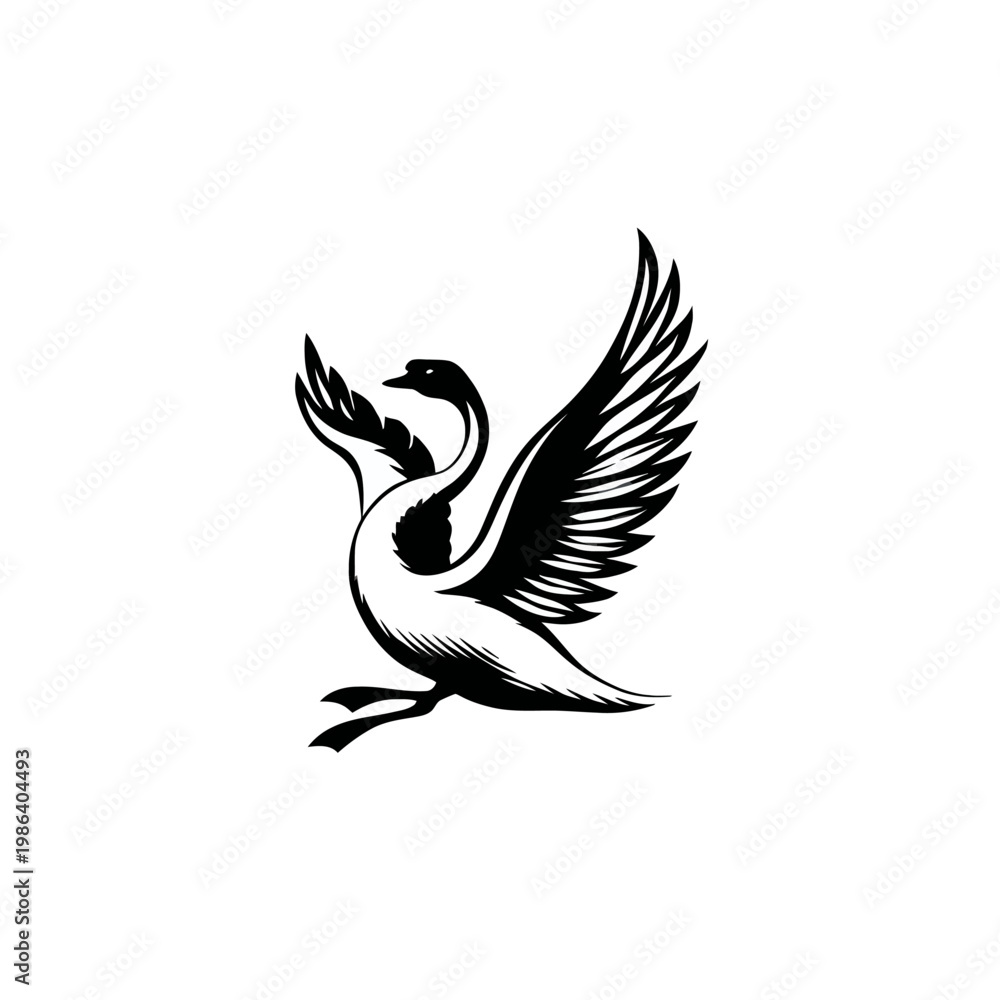 Fototapeta premium Elegant black and white swan illustration with outstretched wings vector design