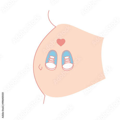 Pregnant Belly with Two Baby Shoes and Heart Icon - Twin Pregnancy