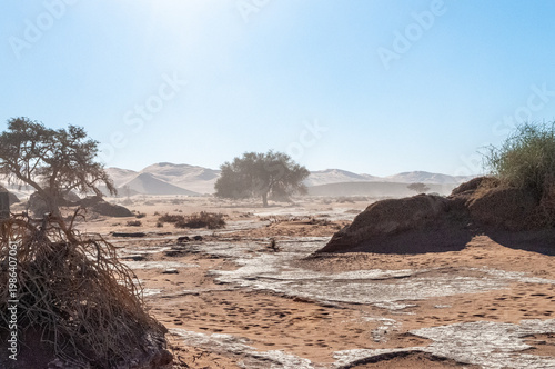 Impression of the barren sand dune landscape near the deadvlei region of Namibia.