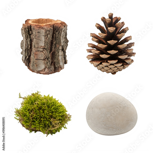 a tree stump a pine cone moss and a soap bar isolated on transparent background