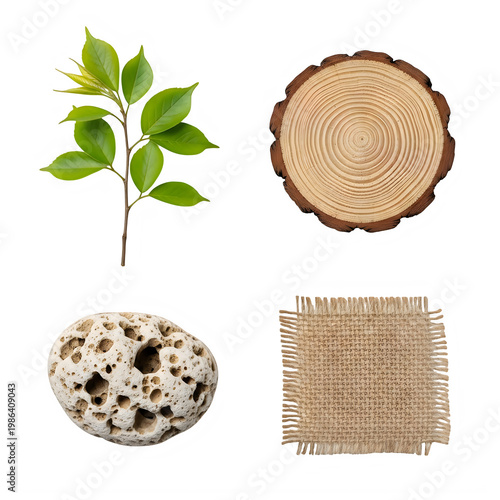 a collection of tree and wood related items isolated on transparent background