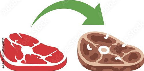 Raw steak turns spoiled with maggots over time