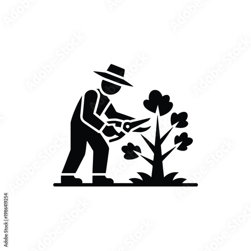Gardener trimming a small bush with pruning shears in a simple design