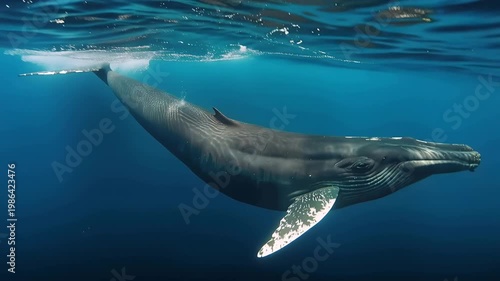 温冷の境を切り裂くクジラで変化の手触りを描く